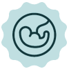 Icon of fetus